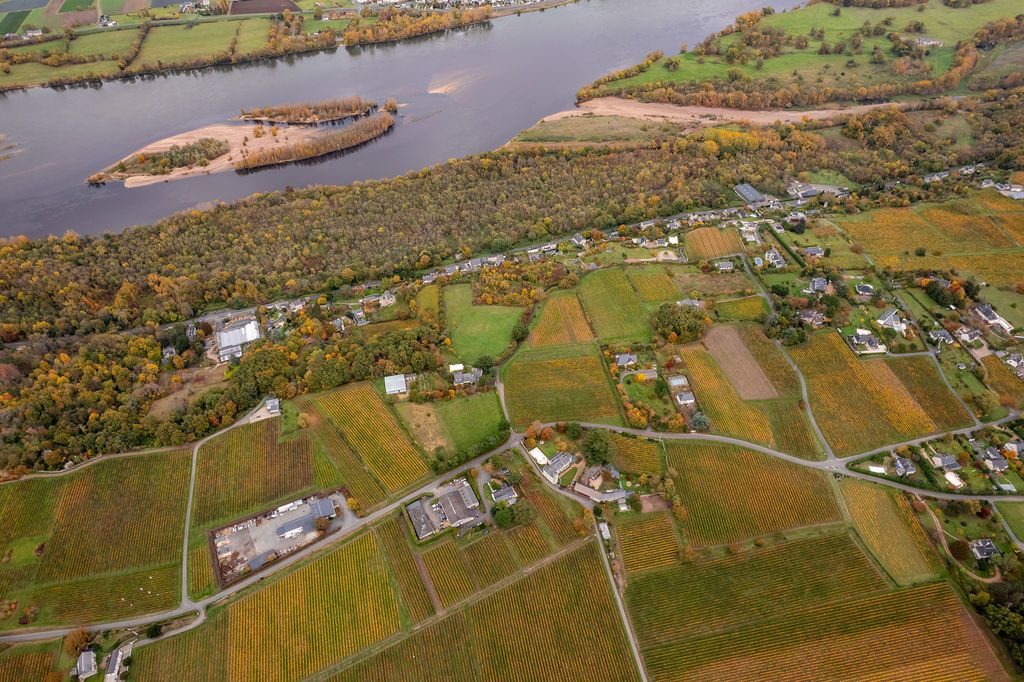 Photo plan drone du Domaine Vadé